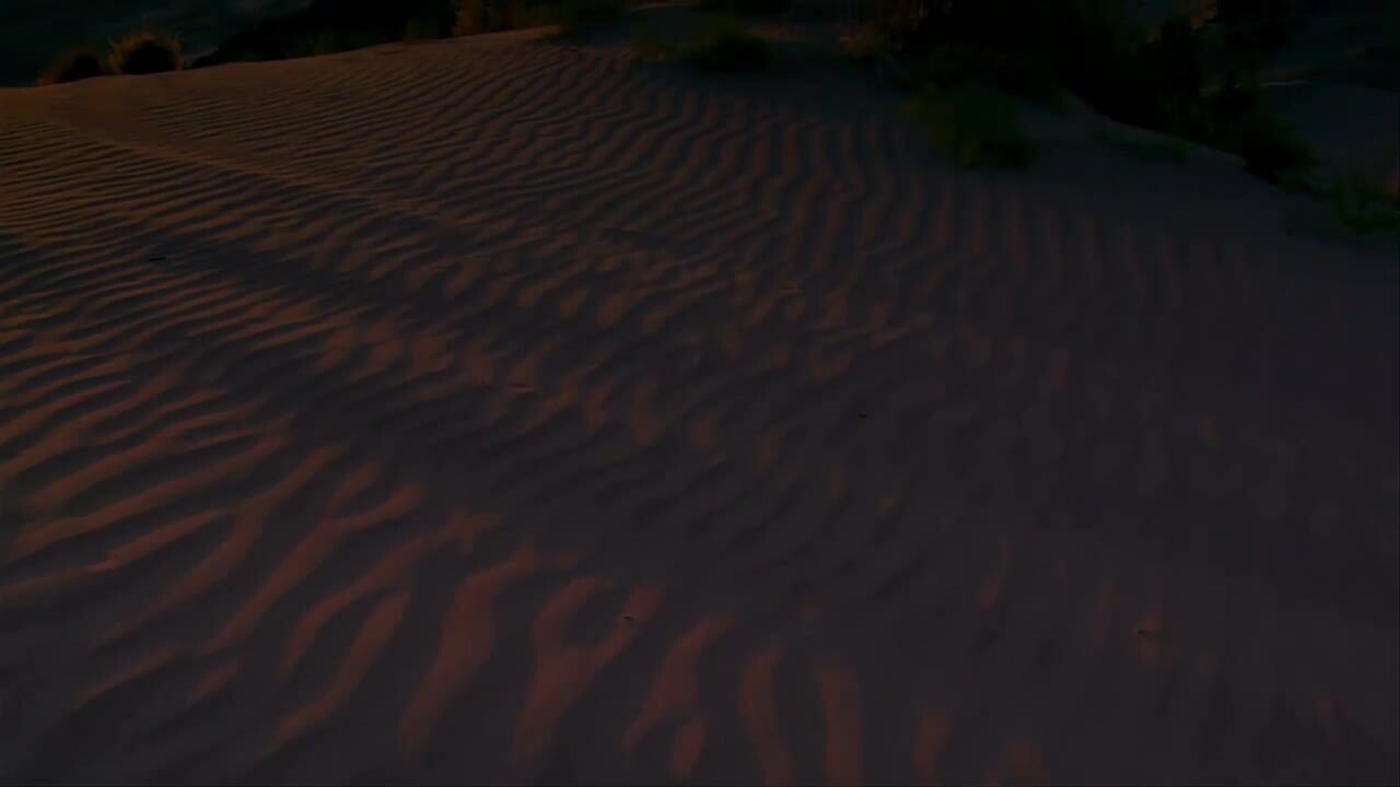 Sahara Desert and Berber Culture